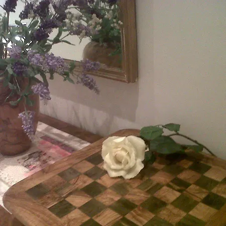 Ξενοδοχείο Night And Day *